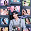 오늘의 댕댕 이미지