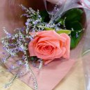 플로리스트 과정 (입문) 이미지