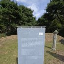 [종합편] 2024년10월9일 수요일 서해랑길 101코스를 다녀와서! 이미지