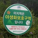 해바라기발전소 이미지