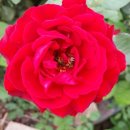 재주농장 이미지