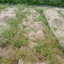 경운농장 | 경운하기 텃밭 팻말 꾸미기 2024년 꼬마농부체험텃발학교