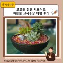 해찬솔농장 | 고고팜 창원 서포터즈 해찬솔 교육농장 체험 후기