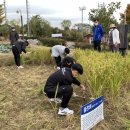 인천원예협동조합 이미지