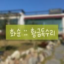 전대주유소 | 전남 화순 황금독수리 :: 광주 근교 화순양식 신상 전남대병원 근처 분위기좋은 맛집 솔직후기