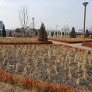 세종호수공원 제1주차장 이미지