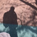 동천명문추어탕 | 내일로 여자 혼자 여행, 전남 4박5일 -일정(남원, 담양, 순천, 여수), 추천 코스, 꿀팁, 경비
