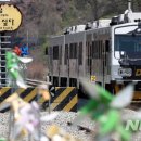 파주통일경기-파주-통일15 이미지