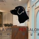라비드펫살롱 이미지