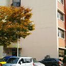 동편유치원 이미지