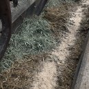 현태농장 이미지