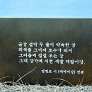 정정조「대바지강」 Daum카페
