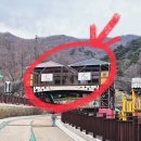 지리산밸리매점 | 함양 대봉산휴양밸리 (대봉캠핑랜드) 사나래관 예약방법 및 숲속 놀이터 놀거리 가득한 주말나들이 함양...