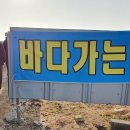 꼬찌야튀김
