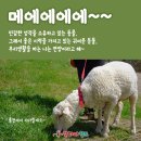 나래월드 이미지