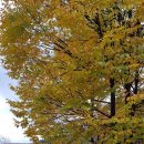 깊이울관광농원(깊이울 캠핑장) 이미지