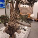 구암동279 이미지