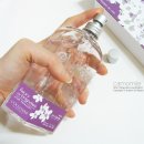 플럼블라썸(Plum Blossom) 이미지