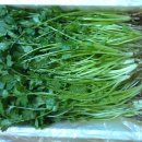 일호농장 이미지