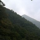 [토요산행]8월26일 화야산-고동산 경기가평/울창한수림과 깊은 계곡 이미지