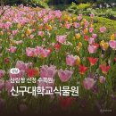 한우리정보문화센터(옥상) | 서울 근교 봄나들이 가볼만한곳 | 성남 힐링 산책 코스 신구대학교식물원 후기