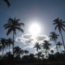 요제농장 이미지