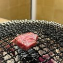 여자 혼자 후쿠오카 여행 :: 프라이빗하게 즐길 수 있는 하카타 야끼니꾸 맛집 "니쿠로바타기온지나리"