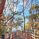 너부대근린공원 이미지