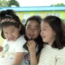 조천초등학교교래분교 이미지