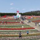 2025 섬 튤립축제 이미지