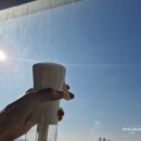 로페코 | 셀프 단열 필름 시공 후기 / 로페코 365 다마거 시트 / 집에서 셀프로 저렴하게 단열시공하기