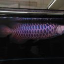 금용농장 이미지