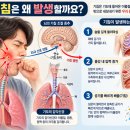 기침에 좋은 자연요법 7가지 마른기침·가래기침 원인과 기관지 건강 관리법!!! 이미지