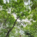 (유)구룡 이미지