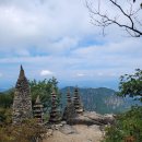 늑대와 여우 이미지