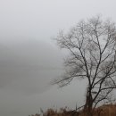 고향에봄 이미지