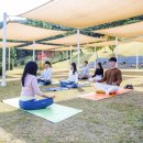 포레스트330