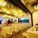 아모르 하우스 이미지