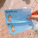 농협경제지주 안성팜랜드 승마센터 이미지