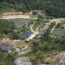 보성녹차골휴게소 이미지