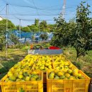 정화농장 이미지