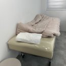 메이우