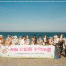 힐링힐링 반려견 교육 유치원 네이버블로그