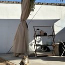 스테이낮선 이미지