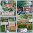 신도야채 - 동구 흥룡로37번길 27 | 신도야채