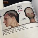 바니세탁소 | 두개천골요법 CST 효과 및 후기