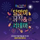 달맞이밤 이미지