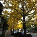 대곡한식 이미지