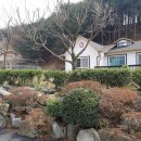 잣나무집정원 이미지