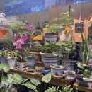 삼삼구이통닭 이미지